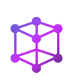 Company Structure