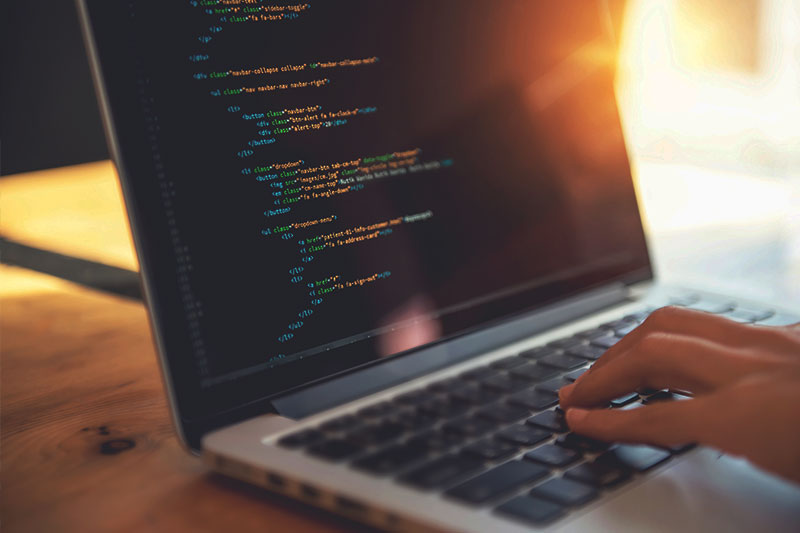 Web App Developer