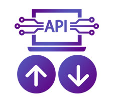 API Integration