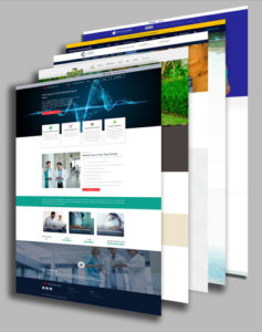 Website Design Examples Utah