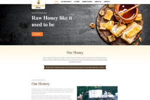 web design project home page Stoddard honey