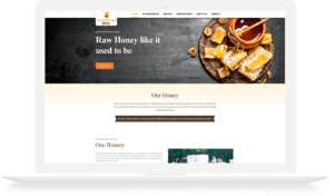 Website Development Portfolio Stoddard Honey Homepage developed
