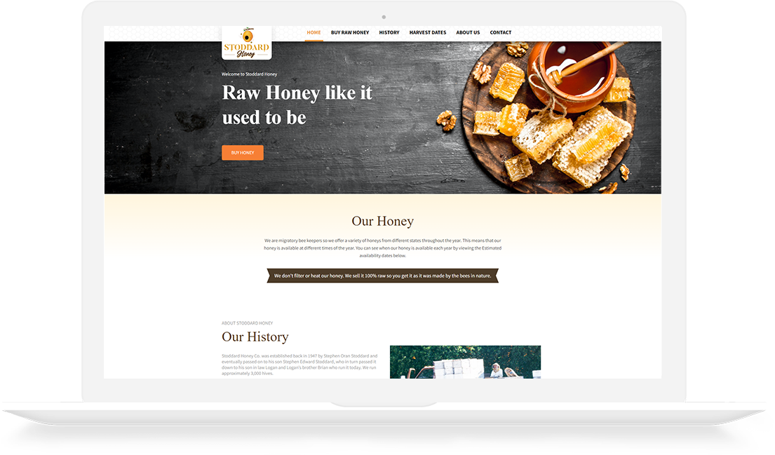 Website Development Portfolio Stoddard Honey Homepage developed