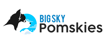 Logo Design Big Sky Pomskies Logo
