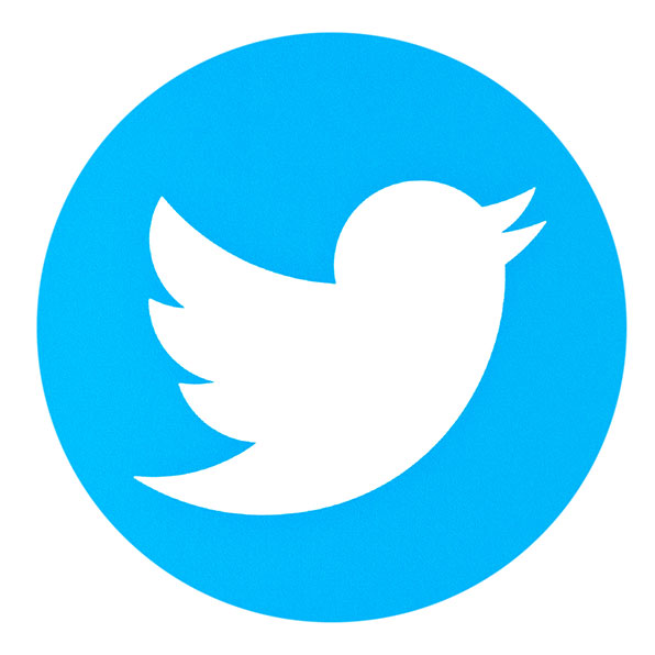 Twitter Marketing Logo