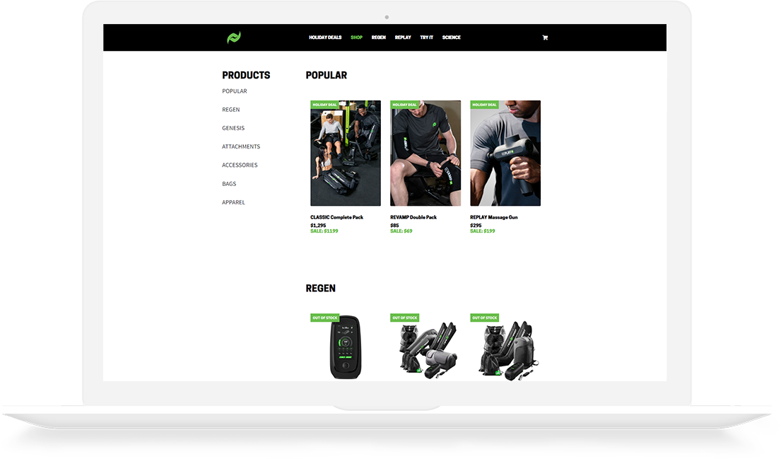 Web Development ecommerce store rapid reboot